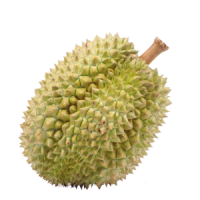 WEB-Carré-durian