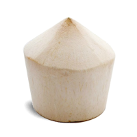 thai-coconut